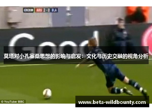 莫塔对小孔塞桑思想的影响与启发：文化与历史交融的视角分析