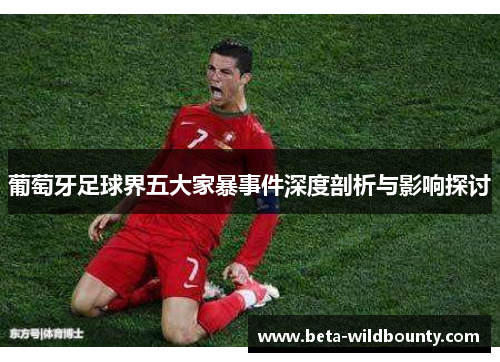 葡萄牙足球界五大家暴事件深度剖析与影响探讨