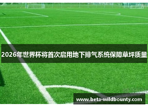 2026年世界杯将首次启用地下排气系统保障草坪质量