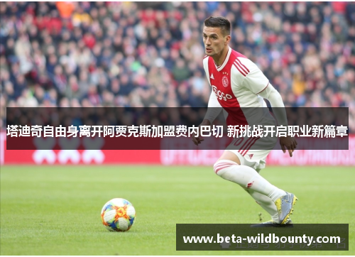 塔迪奇自由身离开阿贾克斯加盟费内巴切 新挑战开启职业新篇章 塔迪奇自由身离开阿贾克斯加盟费内巴切 新挑战开启职业新篇章