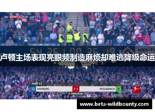 卢顿主场表现亮眼频制造麻烦却难逃降级命运