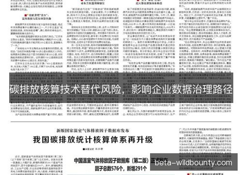 碳排放核算技术替代风险，影响企业数据治理路径